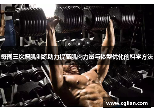 每周三次增肌训练助力提高肌肉力量与体型优化的科学方法